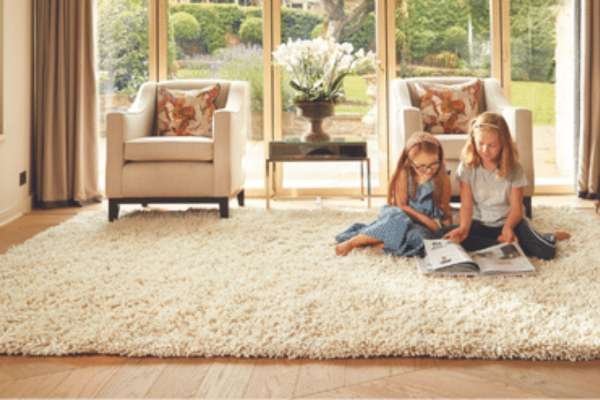 Flooring And Rugs